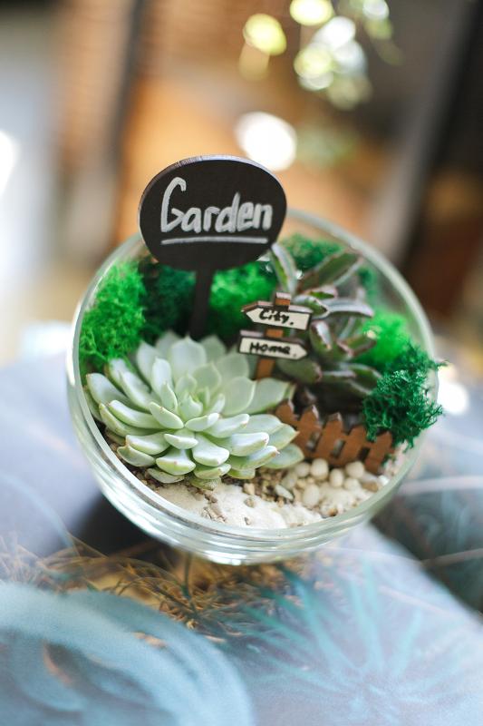 Мини-сад Е0067 с суккулентами, кактусами и декором (d14)