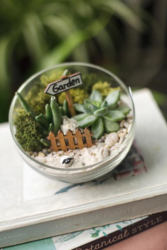 Мини-сад E0005 d14