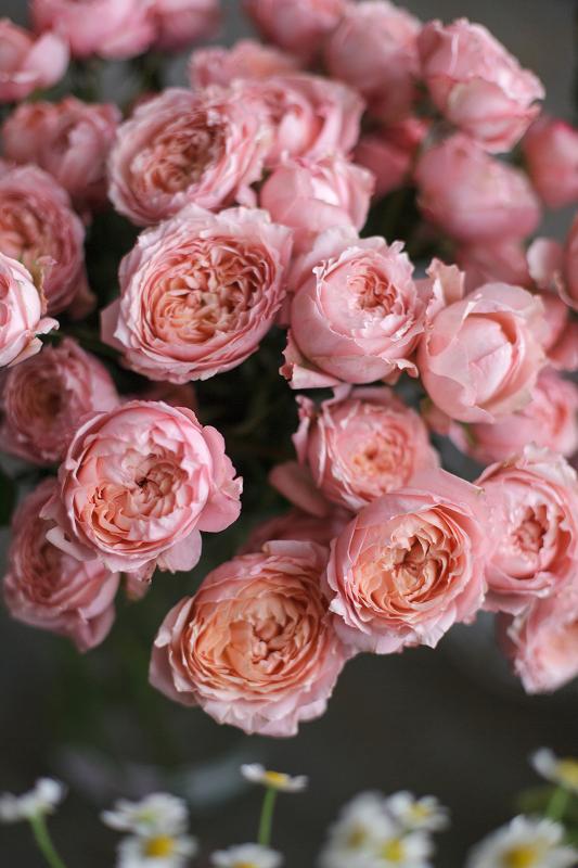 Сделайте КРАСИВО 4