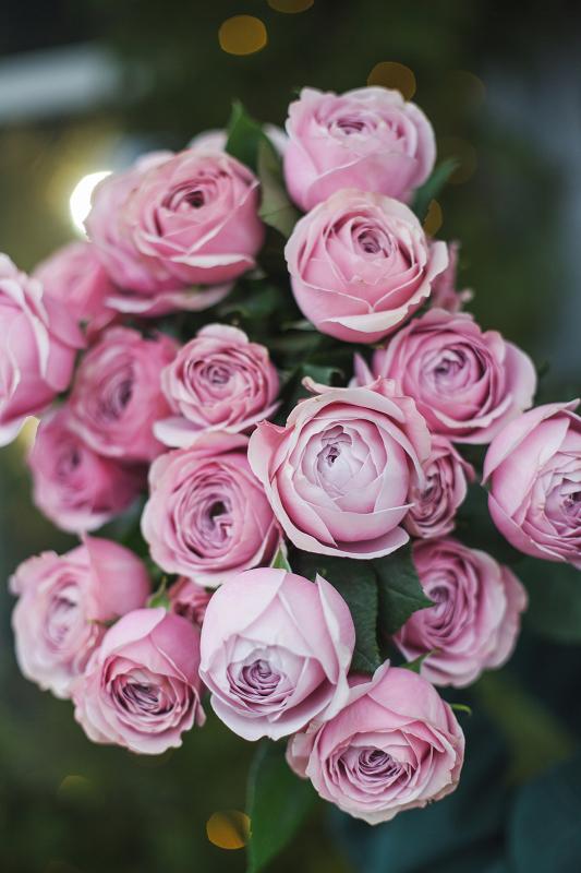 Сделайте КРАСИВО 3