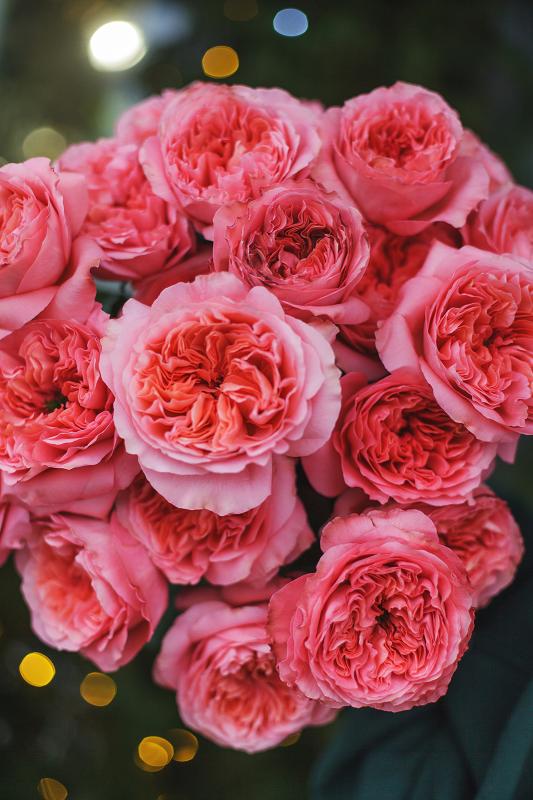 Сделайте КРАСИВО 5