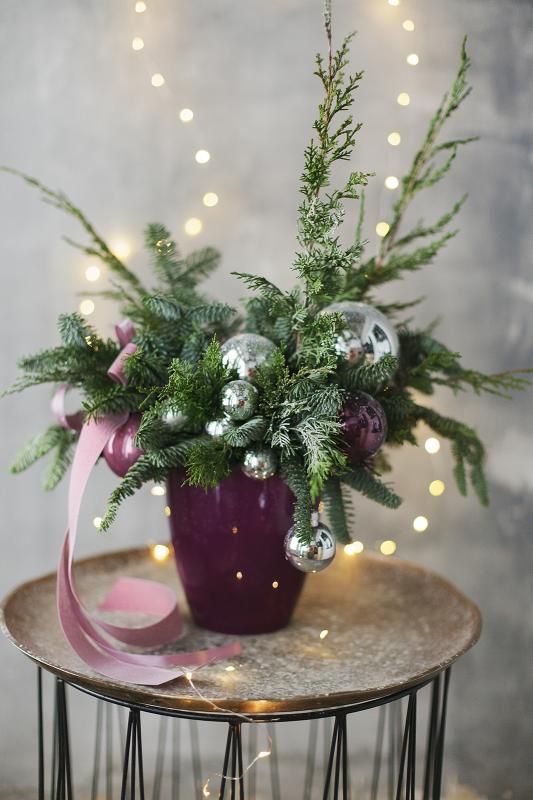 Новогодняя композиция из нобилиса 28