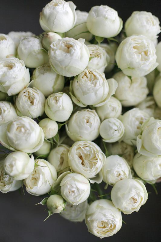 Сделайте КРАСИВО 1