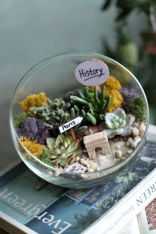 Мини-сад E0061 Paris / India d22см