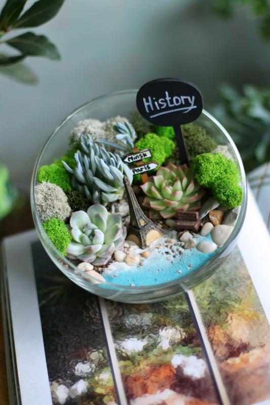 Мини-сад Е0069 «Paris” (d18 см)