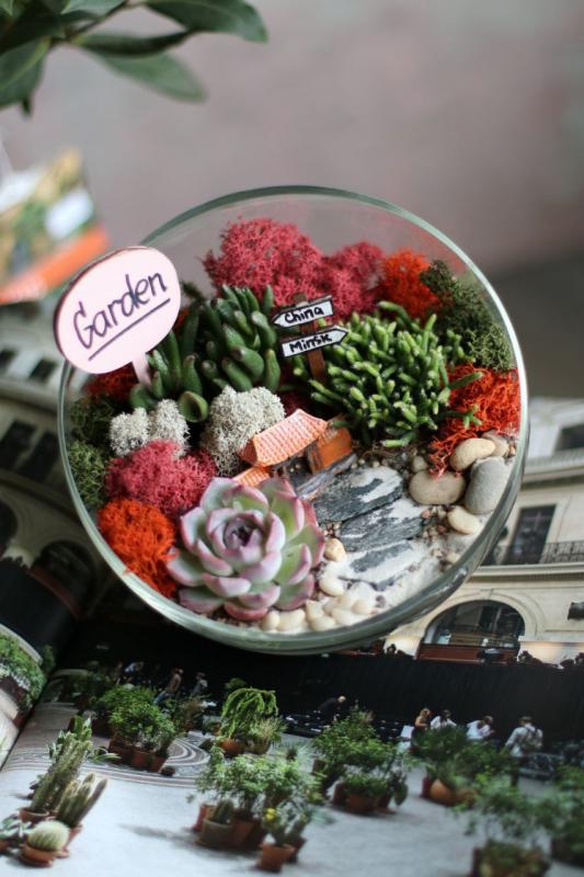 Мини-сад Е0056 “China”