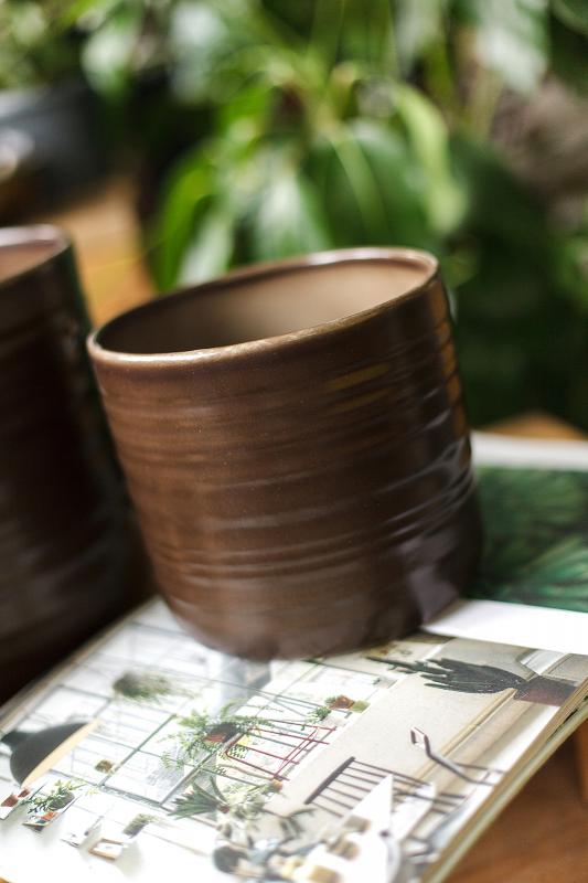 Коллекция кашпо для растений темный дуб 850