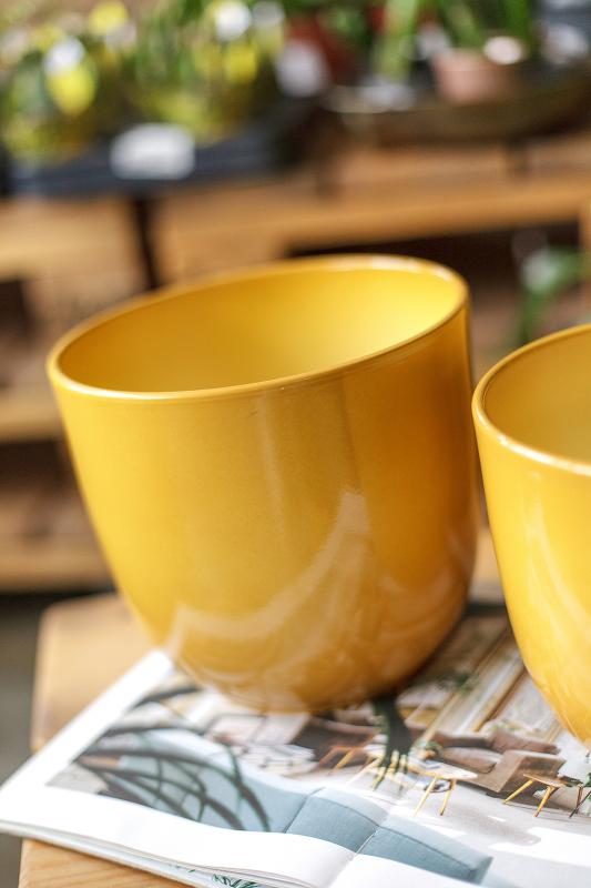 Коллекция кашпо для растений охра Tusca