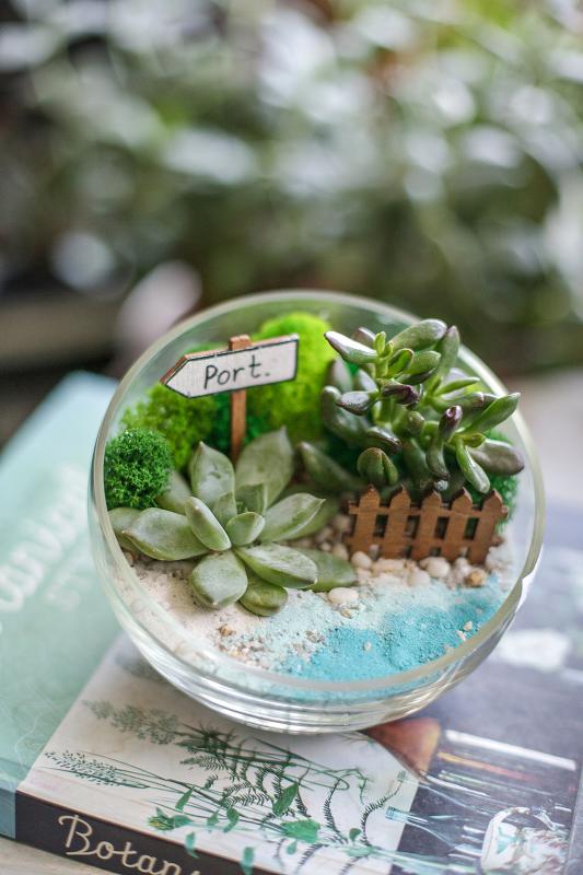 Мини-сад Е0068 с суккулентами (размер S)