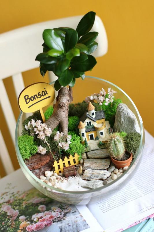 Мини сад E0038