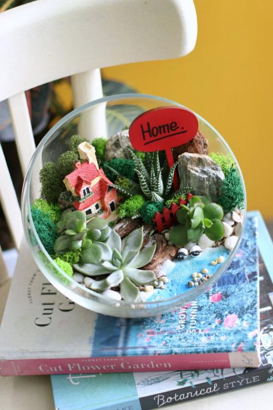 Мини-сад Е0031 d22 см