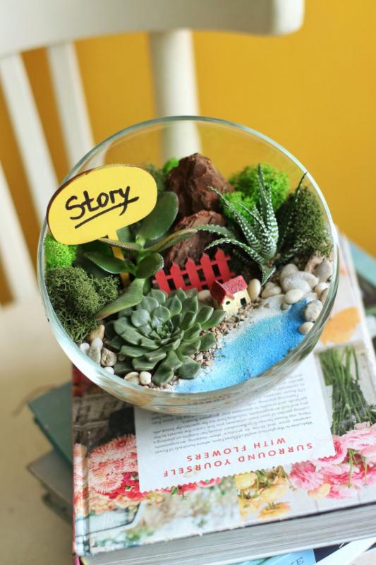 Мини-сад Е0113