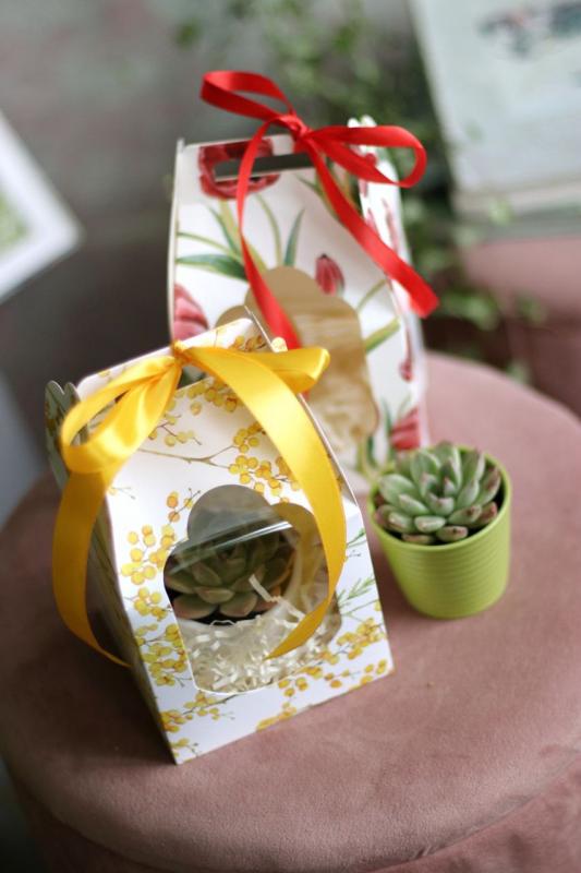 Подарочный набор S005