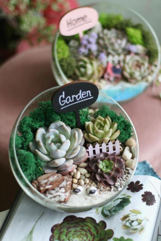 Мини-сад E0003 D18