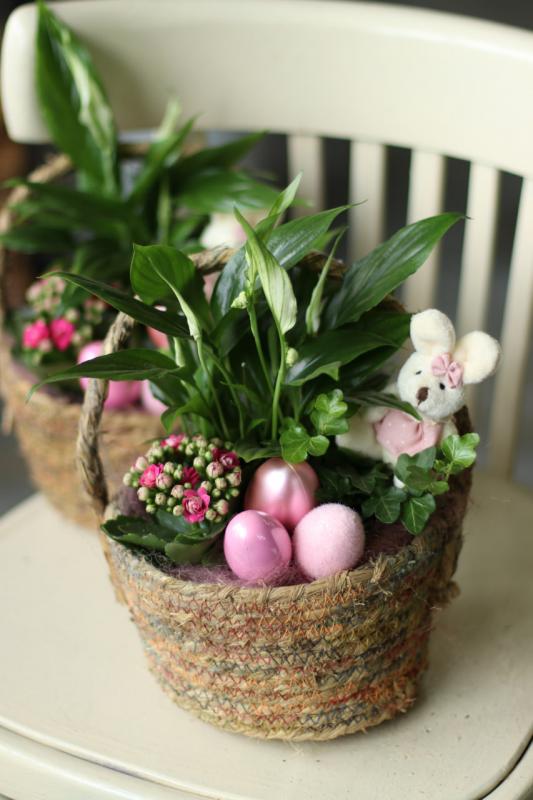 Корзина с горшечными растениями Пасха