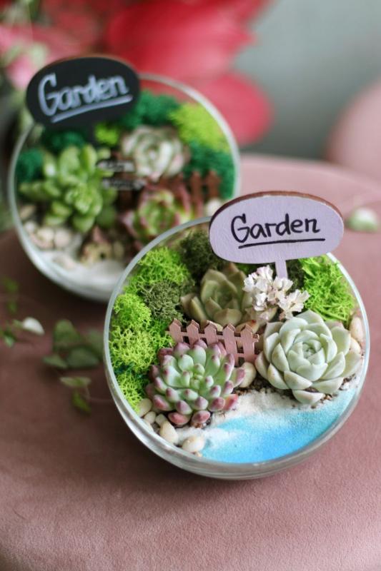 Мини-сад E0006 D14