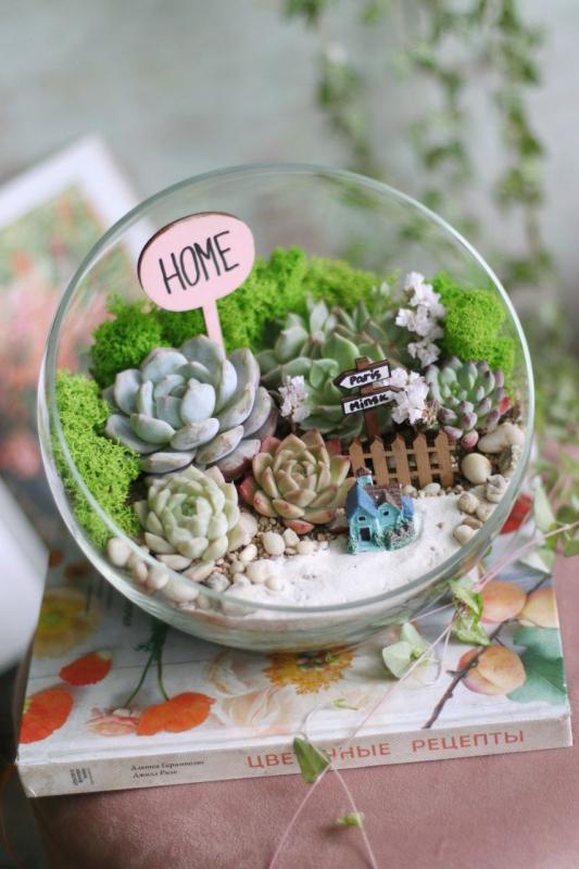 Мини-сад E0010 D22см